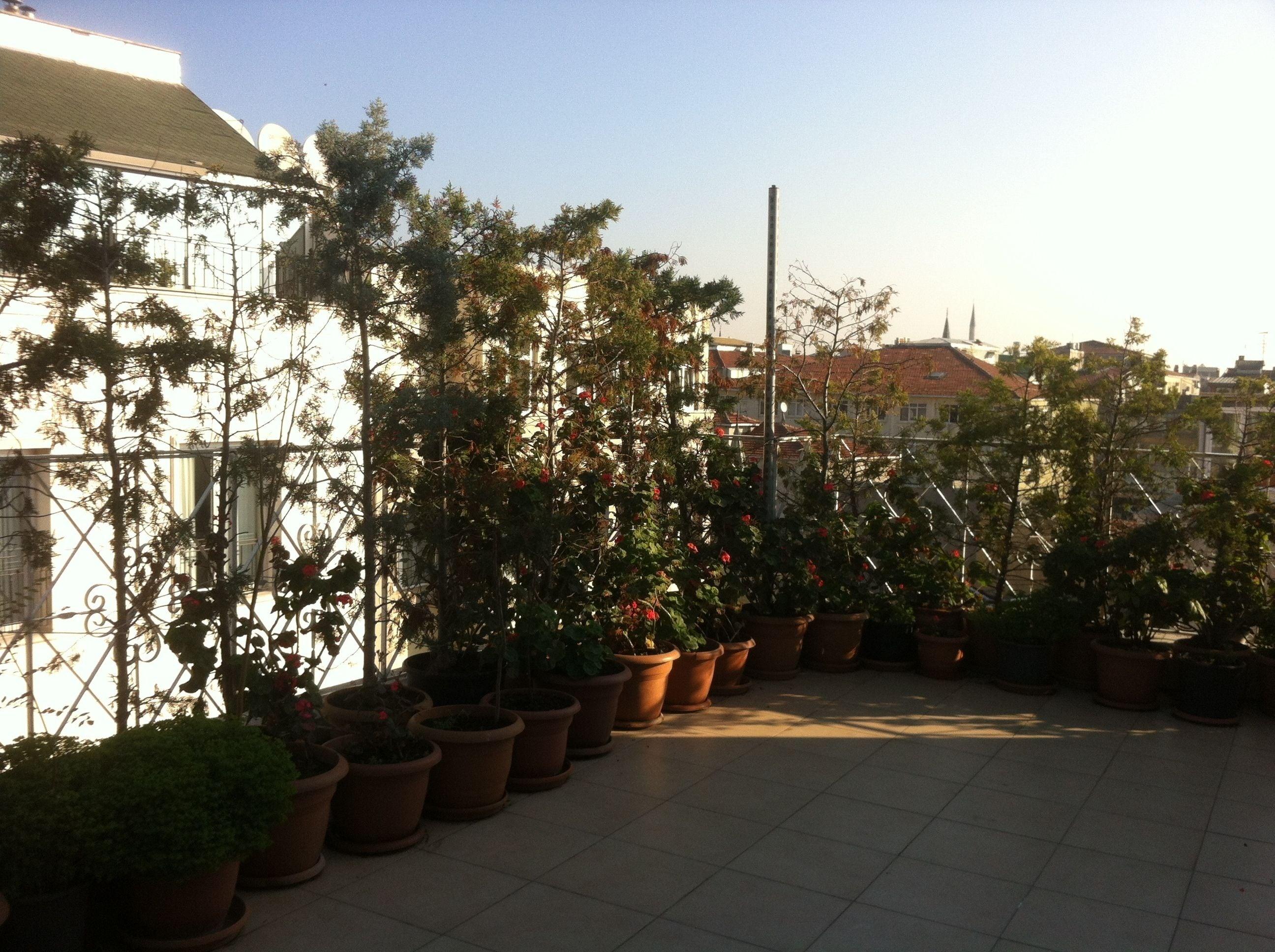 Hotel Linda — Fotók 2